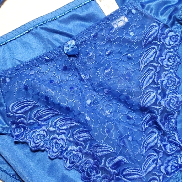 Bra Set Size 40D Blue Lace By Delta Burke - Picture 15 of 15